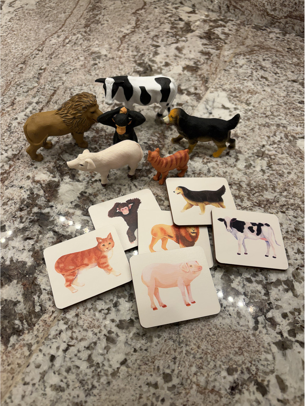 LoveEvery Animal matching game set